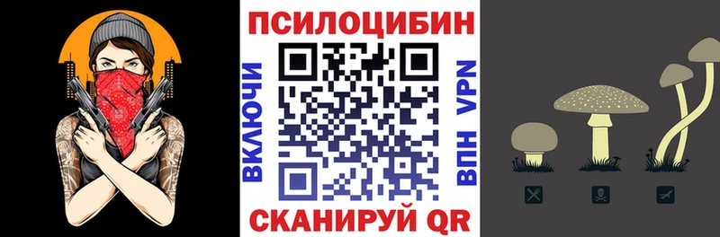 как найти закладки  Краснообск  Псилоцибиновые грибы мухоморы 